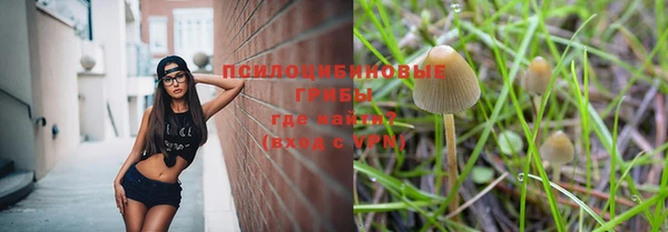 Альфа ПВП Балахна